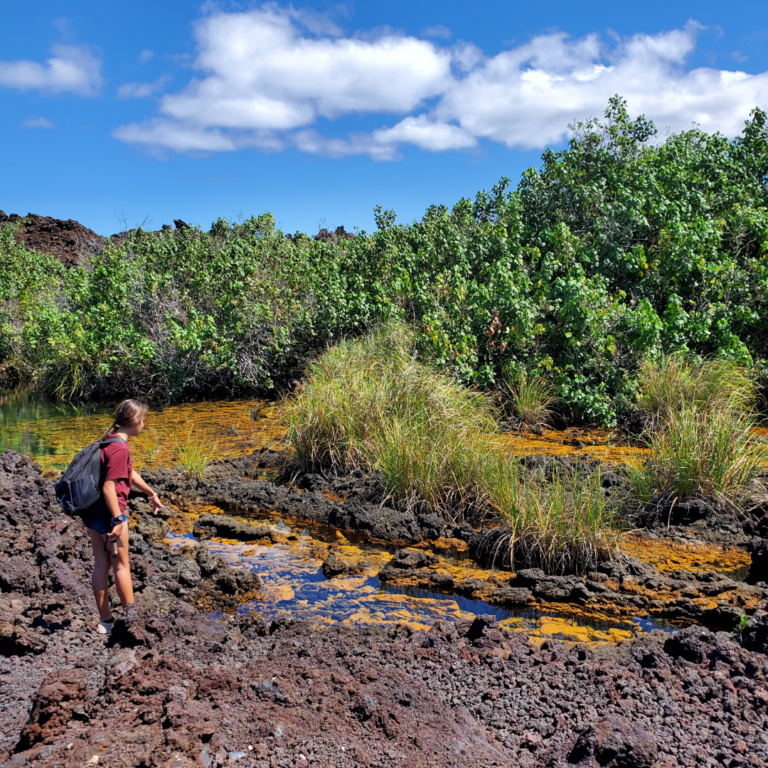 Hiking to the Golden Pools of Keawaiki