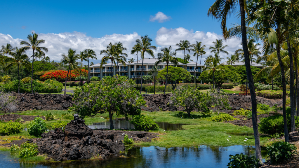 Vista Waikoloa