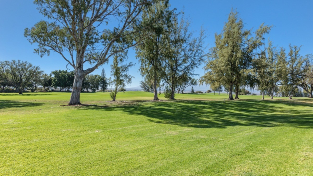 17th Fairway Villas @ Waikoloa-4